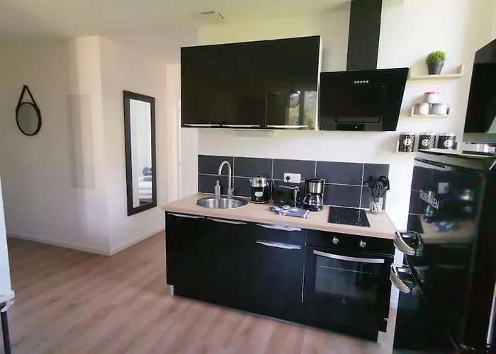 Lägenhet Le Mediterraneen *t2 Lourdes